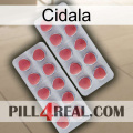 Cidala 19